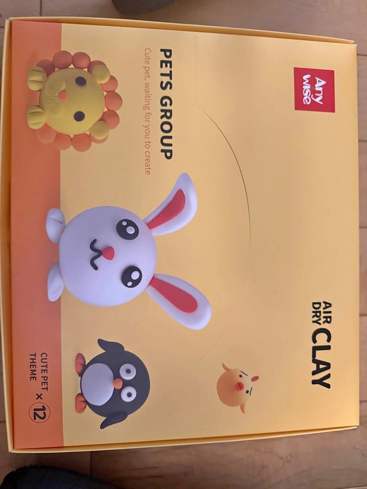 Brand new in box Anywise air dry clay (12 pack)