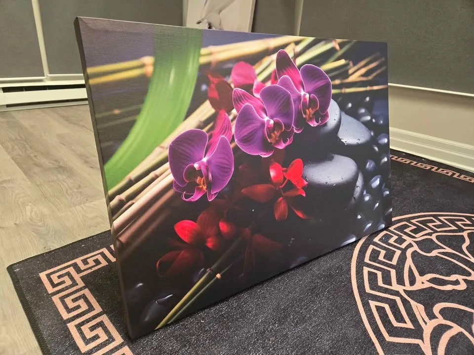 Wall art $100 wrapped canvas picture image indicator(2)