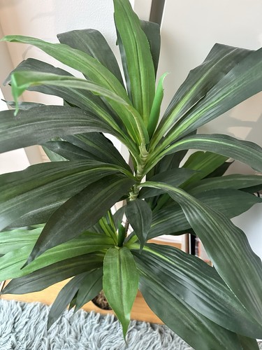 Artificial Green Plant in Black Pot - photo 4