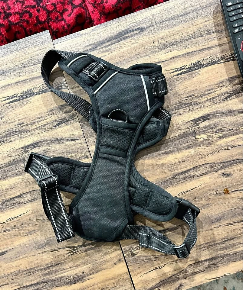 EcoEarth No-Pull Dog Harness — Large, Black