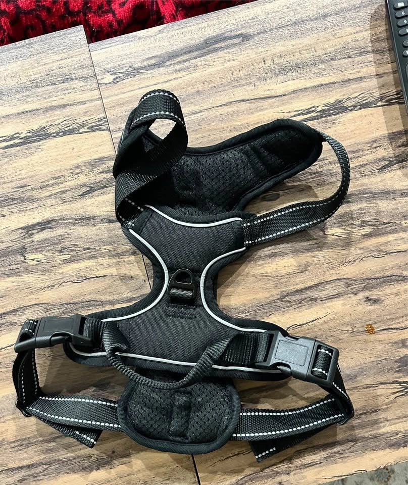 EcoEarth No-Pull Dog Harness — Large, Black - photo 2