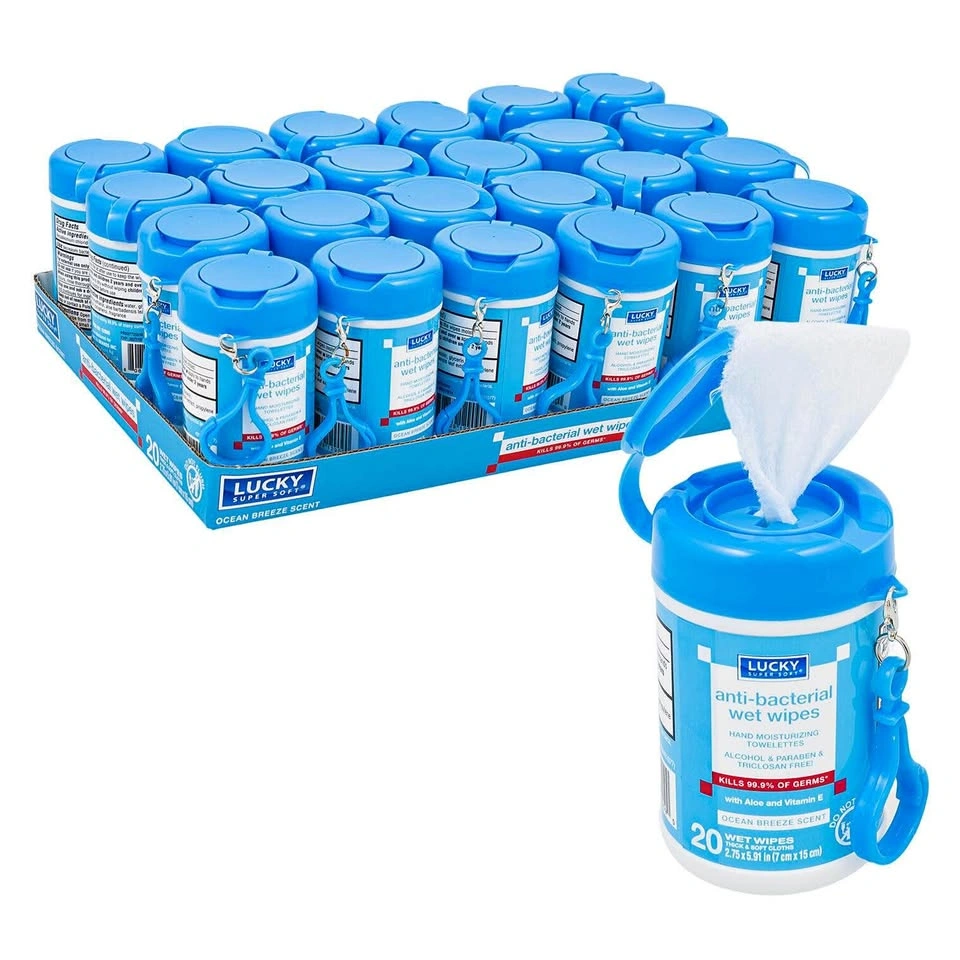 Mini Anti-Bacterial Travel Wet Wipes with Keychain - 400 Total