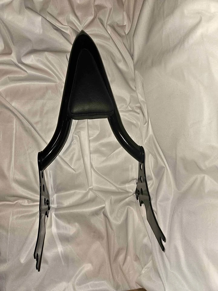 Passenger Sissy Bar – black– Excellent Condition