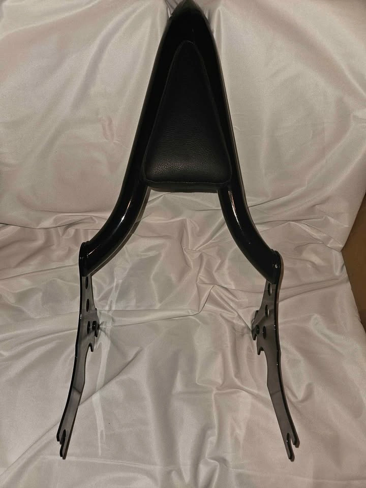 Passenger Sissy Bar – black– Excellent Condition - photo 3