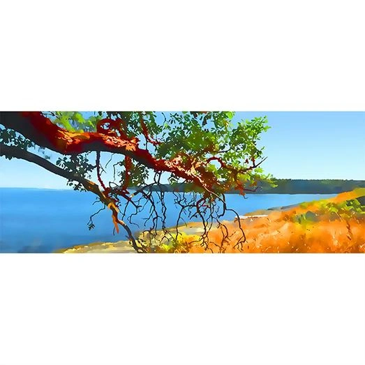 Arbutus – Sun Reacher - photo 2