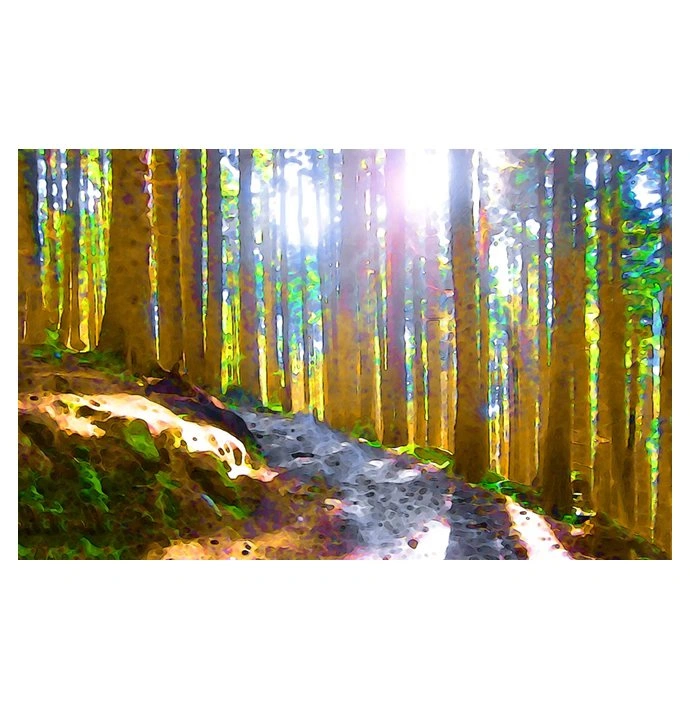 Mountain Forest Trail – Realistic - photo 2
