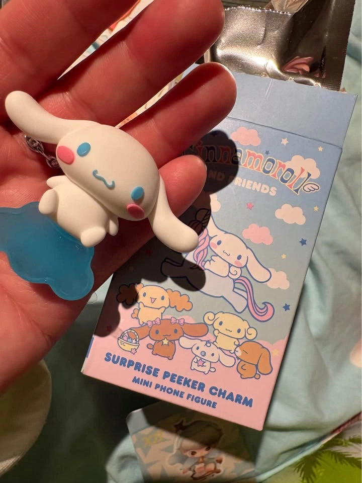 Some local blind box - photo 3