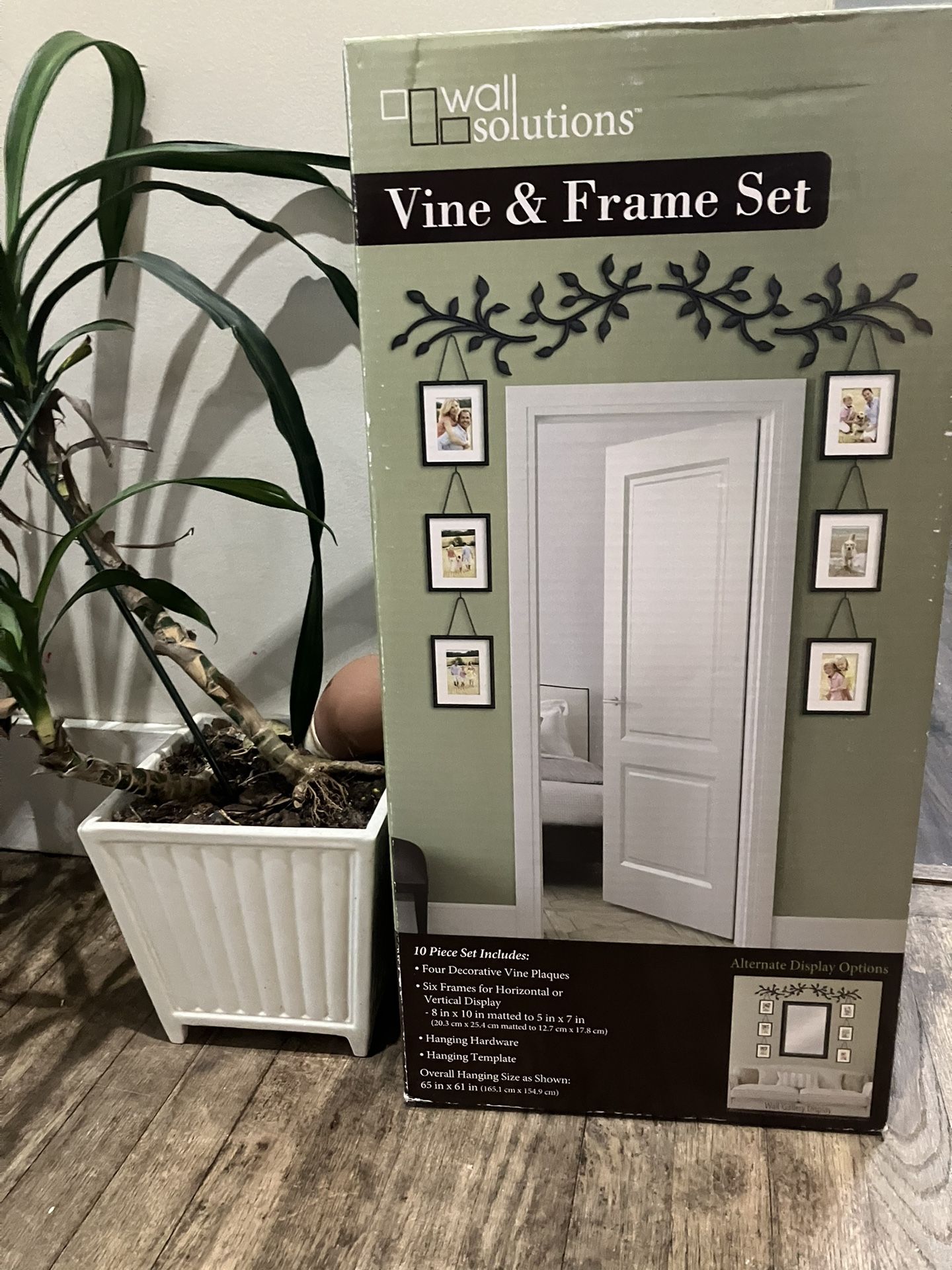 Wall Solutions Vine & Frame Set – 10-Piece Wall Décor (Open Box)