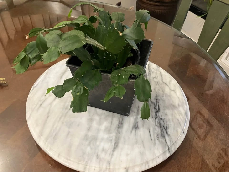 15” Round Marble Pedestal Serving Tray - photo 3