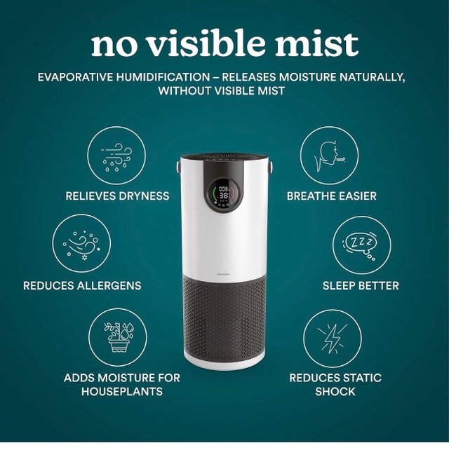 Homedics 2-in-1 Cool Mist Humidifier & Air Purifier - photo 2