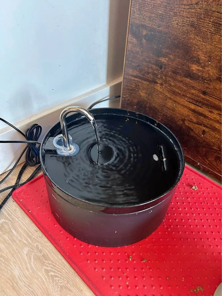 Cat Fountain
