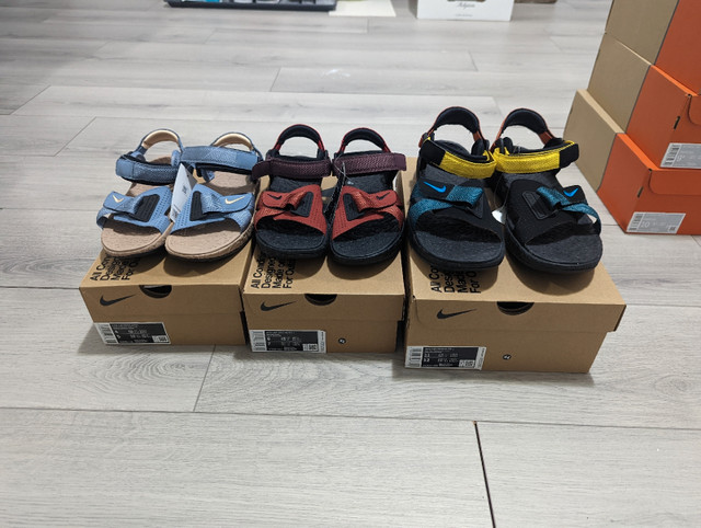 DS Nike ACG Air Deschutz