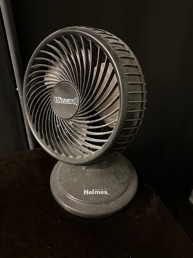 Holmes Blizzard Fan