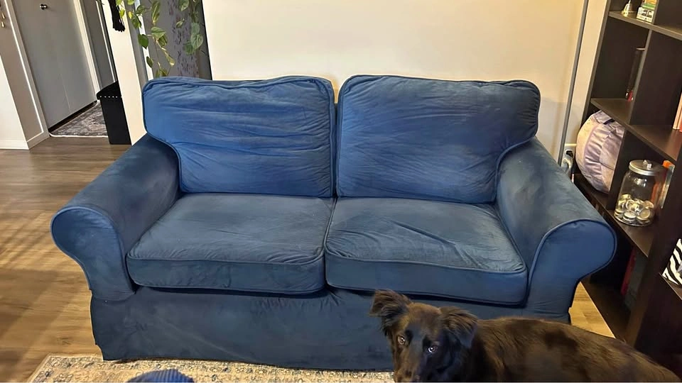 IKEA 2-Seat Loveseat in Blue Velvet