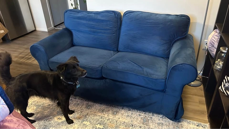 IKEA 2-Seat Loveseat in Blue Velvet - photo 3