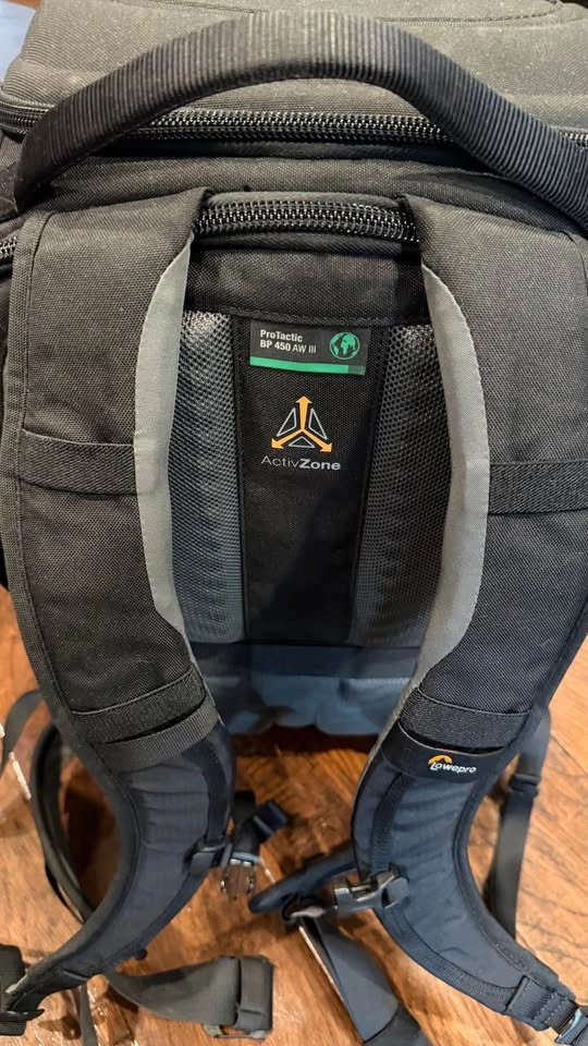 Lowepro ProTactic BP 450 AW III Backpack Black - photo 3