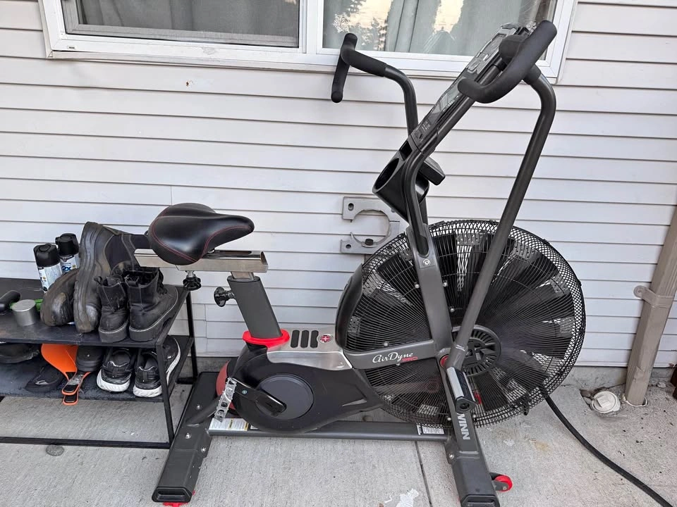 Schwinn Airdynne Air bike