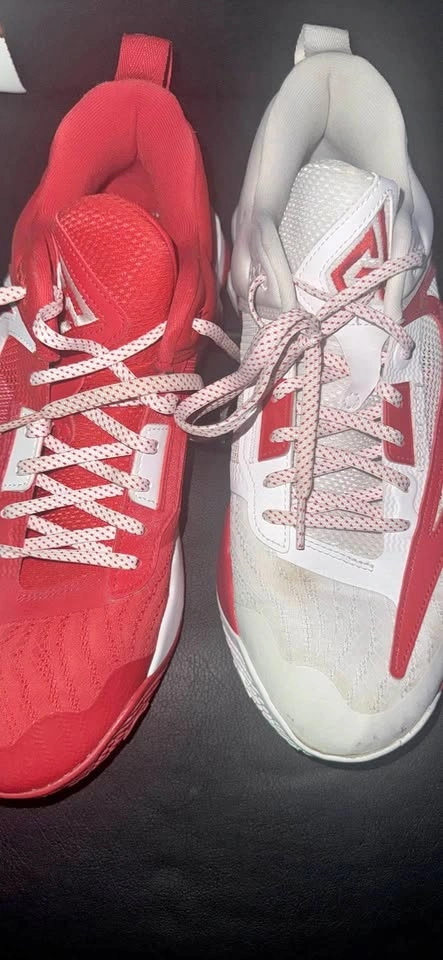 Giannis 3 (All Star) Basketball shoe