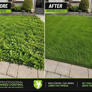 Weed Removal, Fertilizing & Overseeding