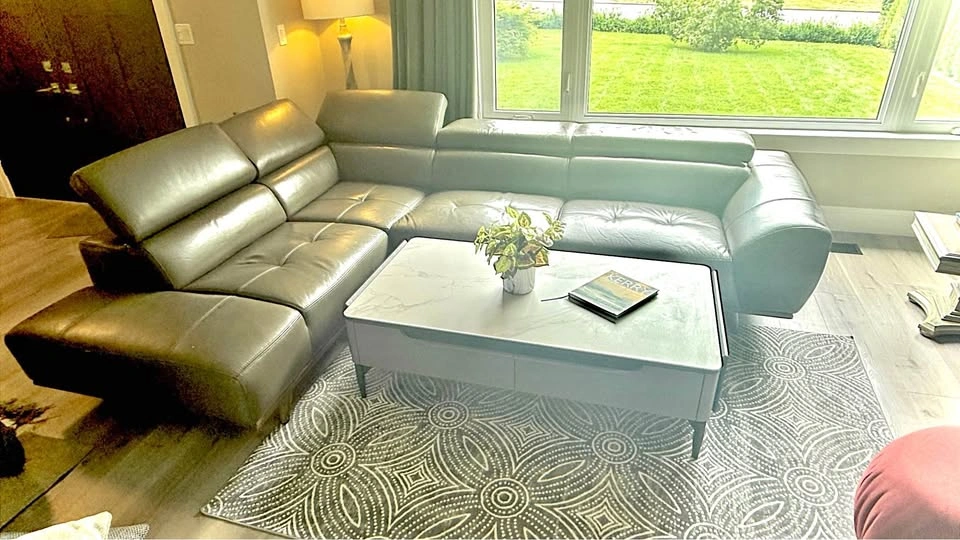 Modern L-Shape Couch