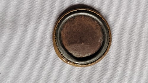 WWI Era Antique Button Women's Oversea Hospitals NAWSA - photo 2