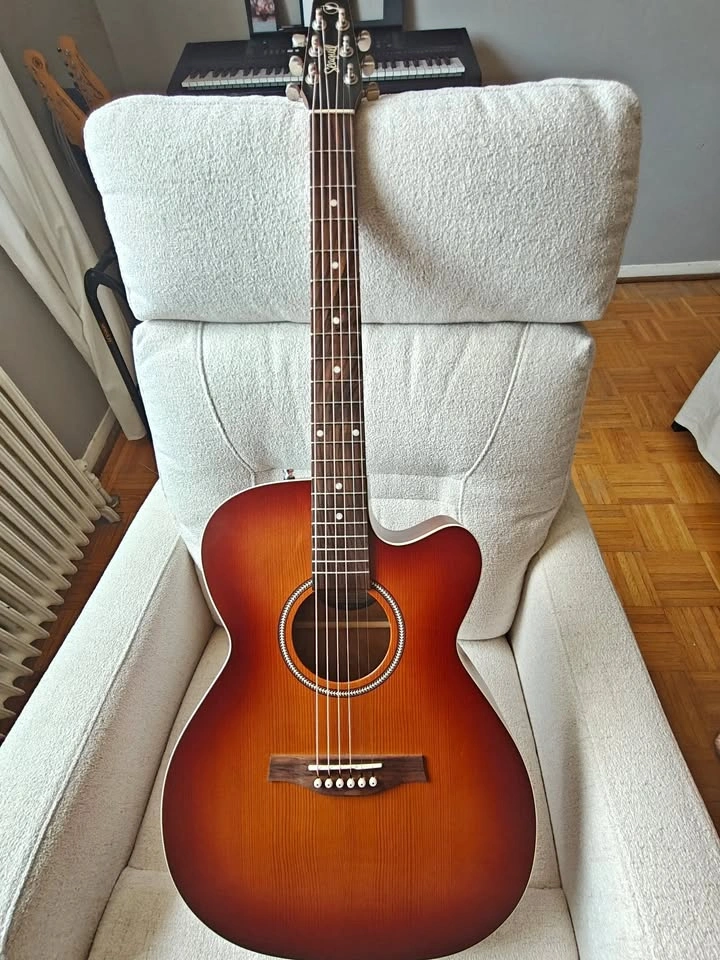 Seagull Entourage Rustic Burst CH CW EQ Acoustic Guitar
