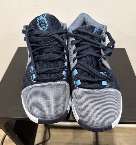 Nike LeBron Witness 8 Ashen Slate/Blue/White Men’s Size