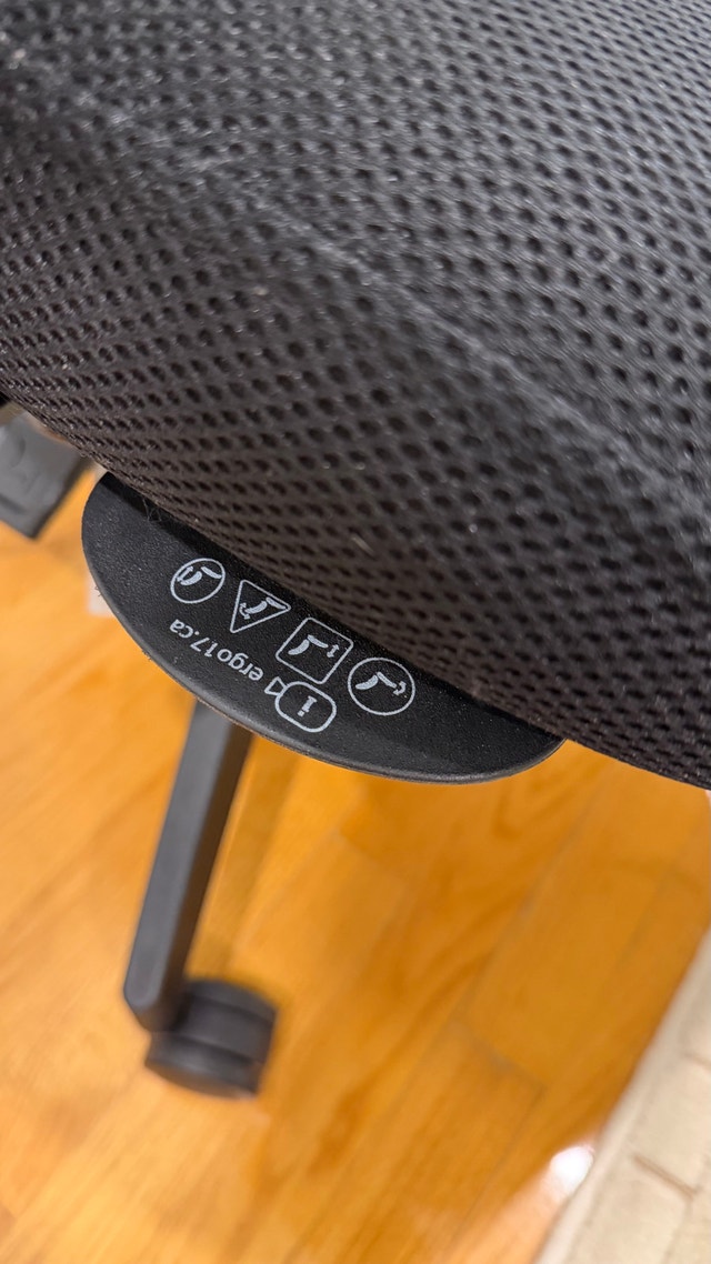 ergoCentric Ergonomic Office Chair - photo 2
