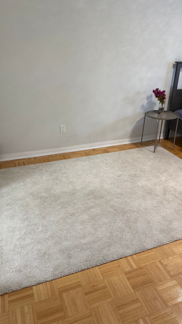 IKEA Area Rug