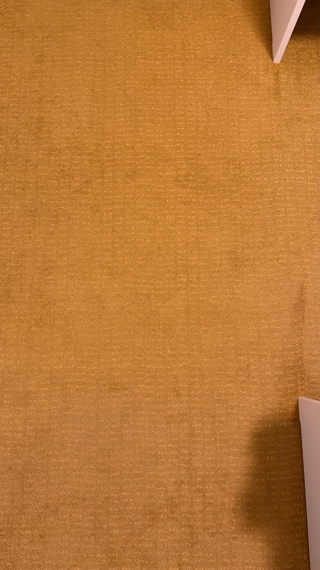 IKEA Mustard Yellow Area Rug - photo 2