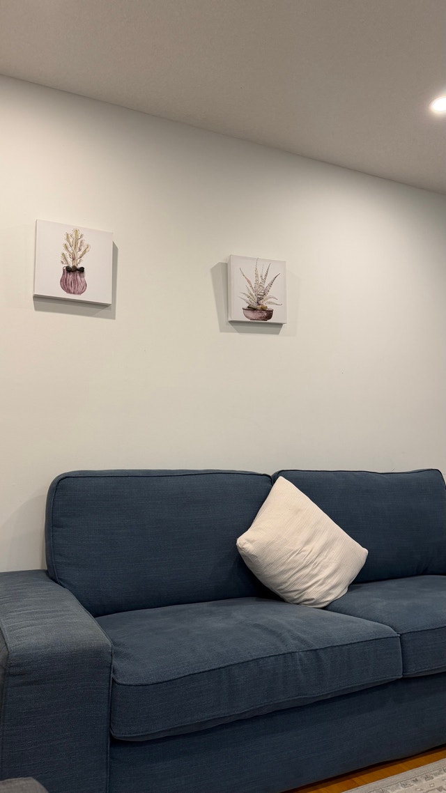 IKEA Sofa