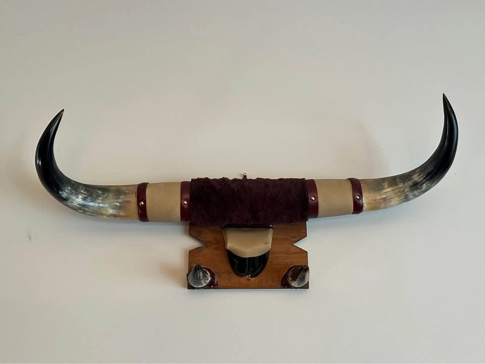 Mounted Animal Horns Wall Art