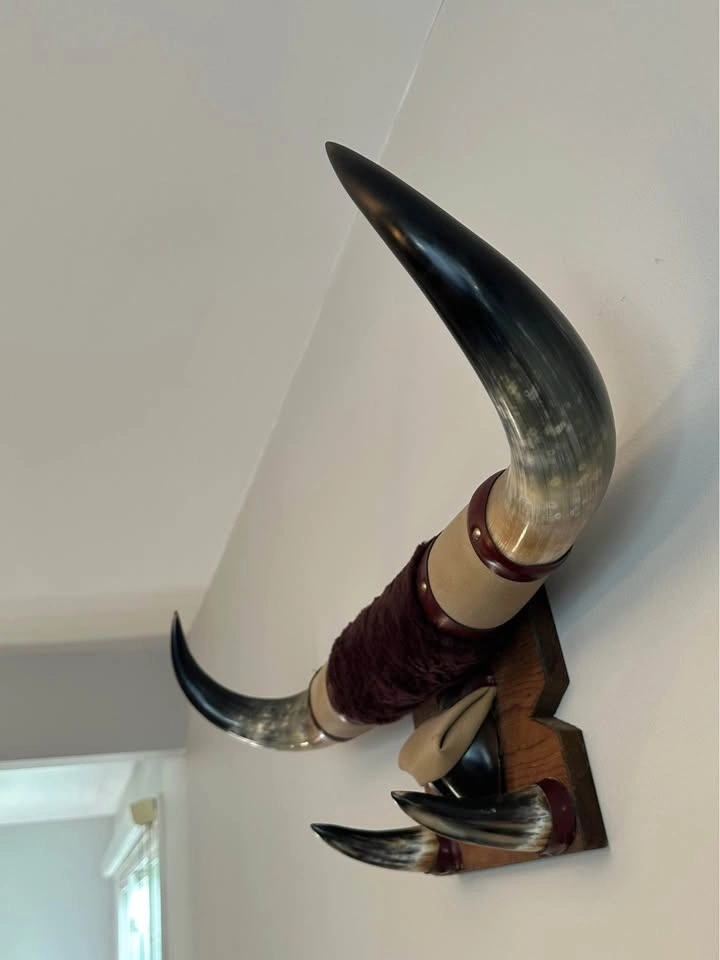 Mounted Animal Horns Wall Art - photo 2