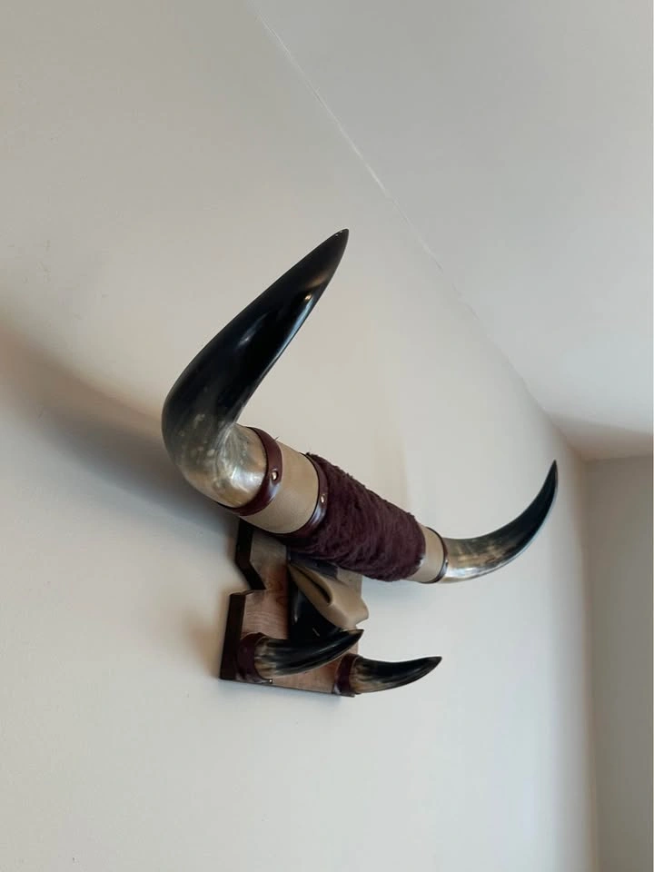 Mounted Animal Horns Wall Art - photo 3