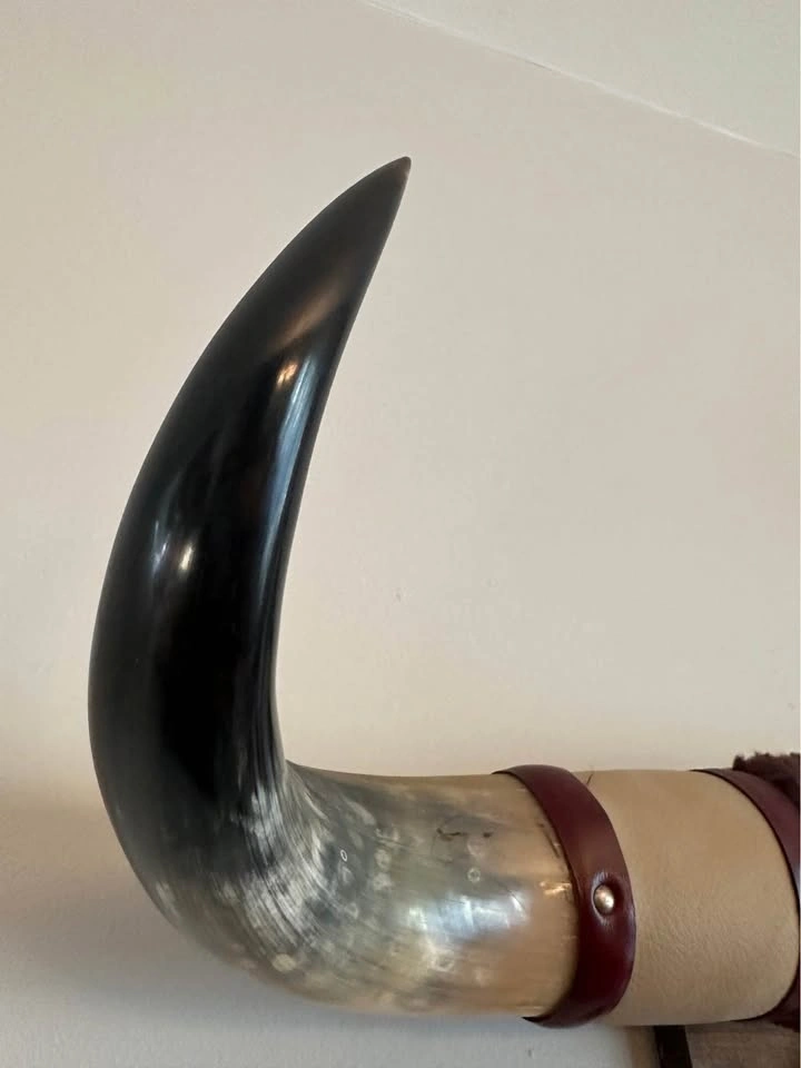 Mounted Animal Horns Wall Art - photo 4
