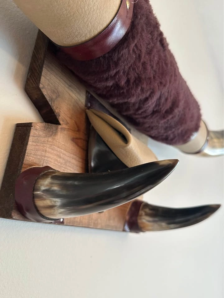 Mounted Animal Horns Wall Art - photo 5