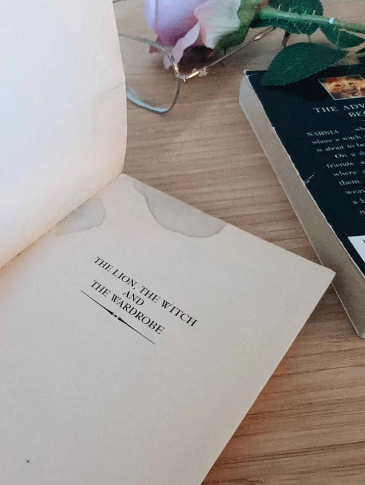 $5 for bundle C.S. Lewis' Narnia Book 1&2 - photo 3
