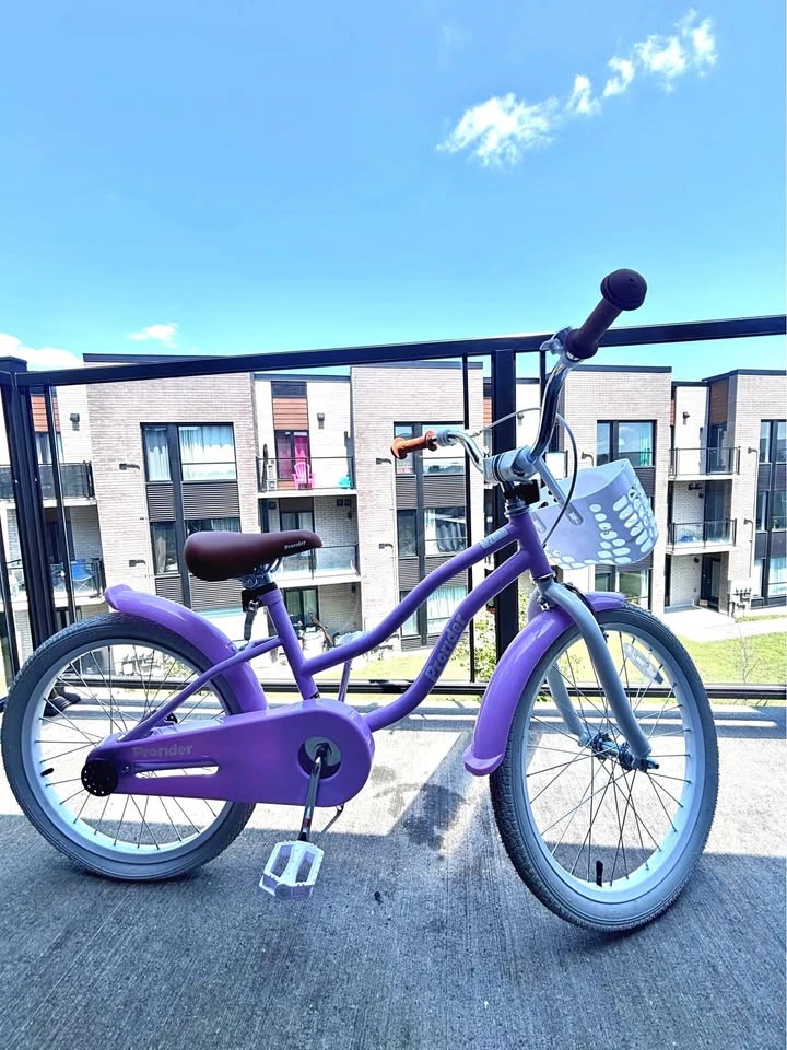 20-inch Prorider kids bike