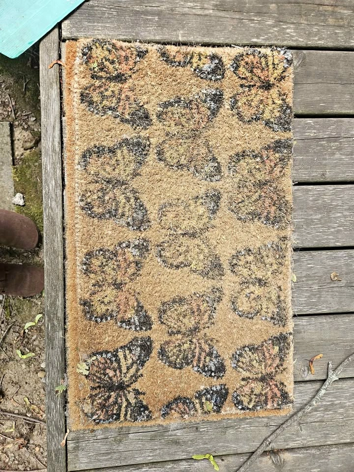 Door mat