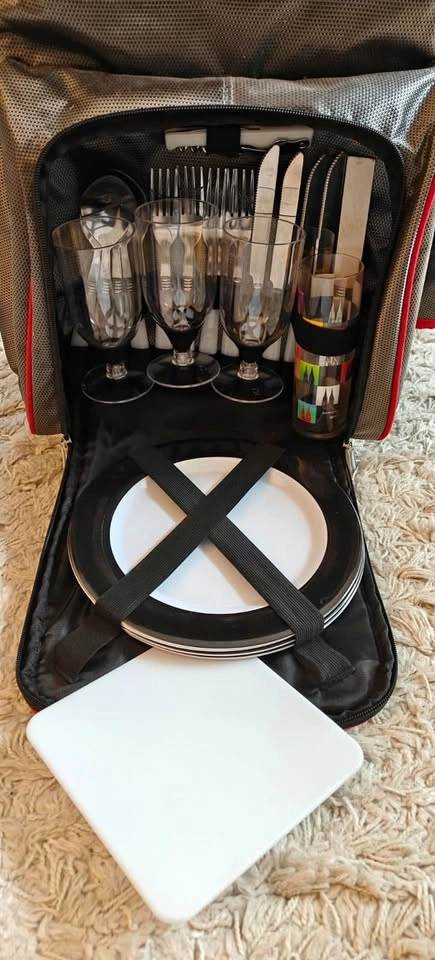 Picnic bag/backpack for 4 people
