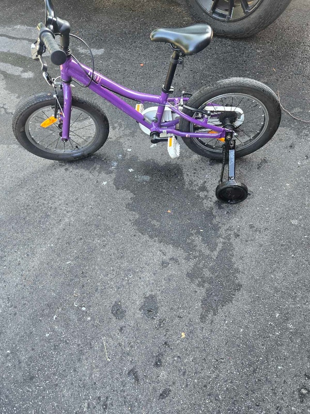LIV Adore 16 inch bike