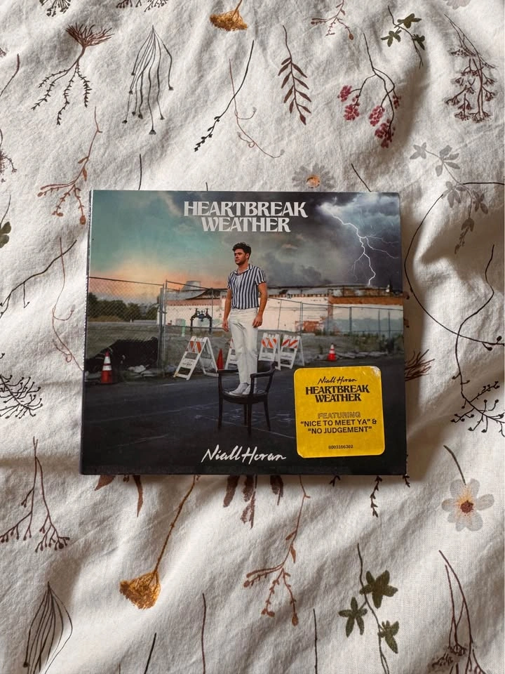 Popular CDs (Billie Eilish, Niall Horan, Harry Styles, 1D, FINNE - photo 3