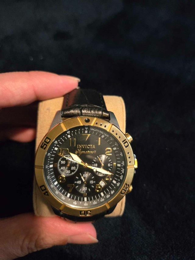 Beginner Watch Collection