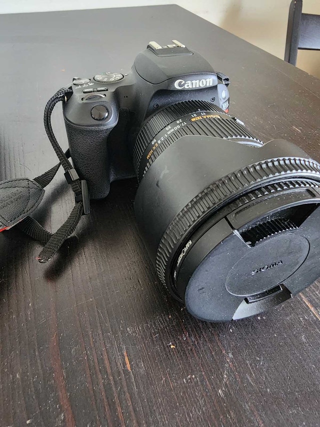 Canon Rebel SL2 DSLR with Sigma lens - photo 2