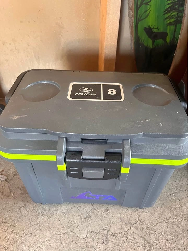 Pelican cooler lunch box