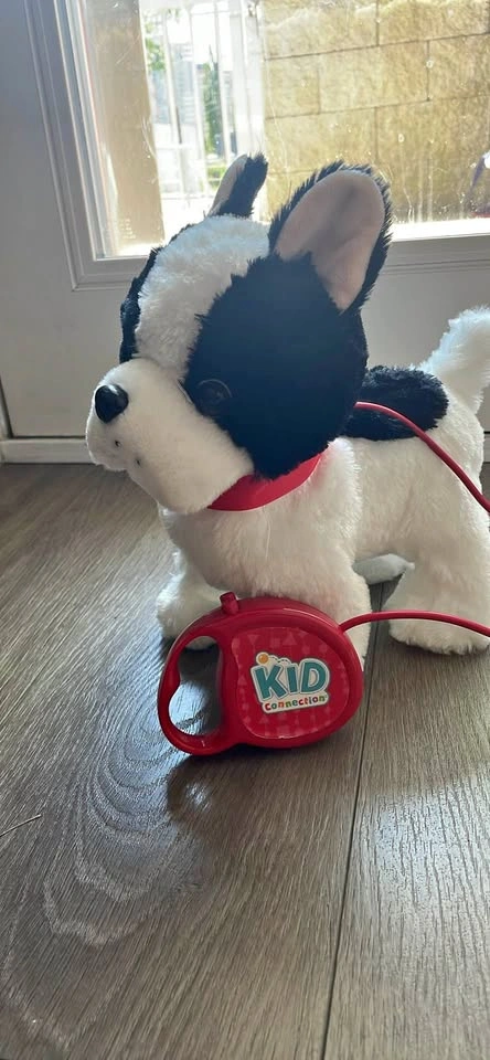 Kid Connection My walking pet