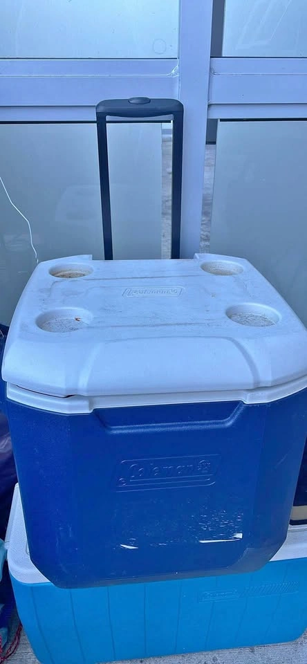 Coleman cooler