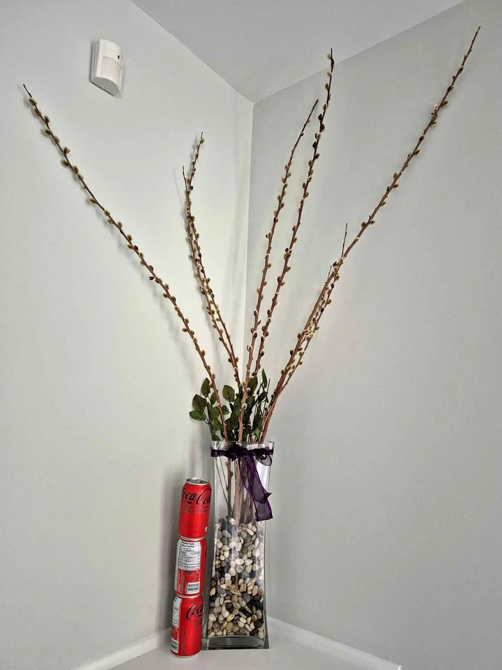 Tall Glass Vase
