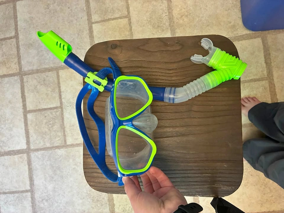 Speedo Dive Snorkel and Mask Set