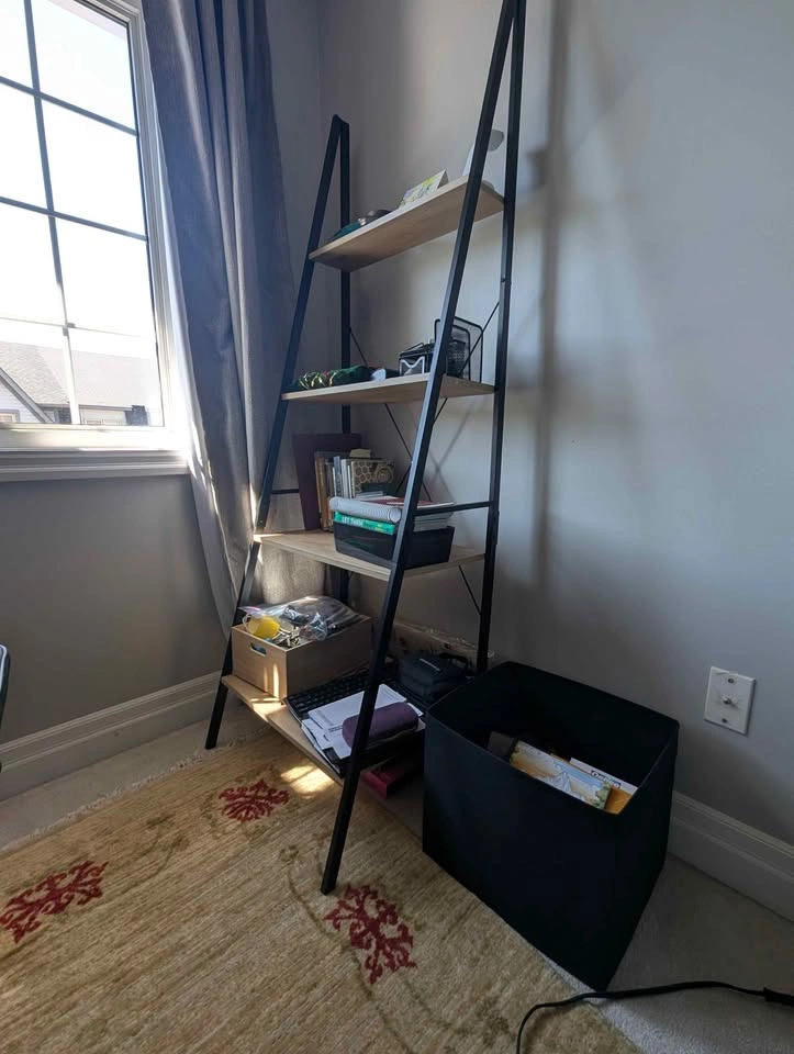 Mercury Row Almanzar 4-Tier Ladder Bookcase – Wayfair - photo 2